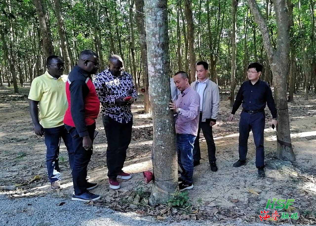 92e403402ef34f999226685e456a83c0