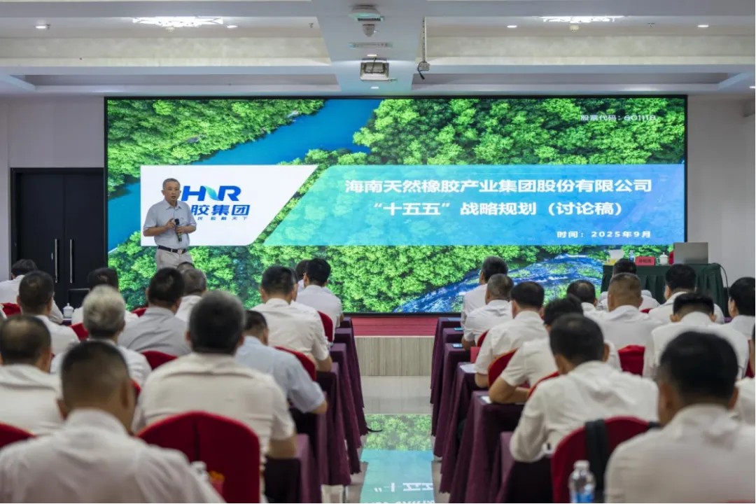 9c57ae452c8a4edebd60de1a2c533812