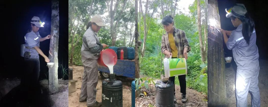 f2d5415f50914834992776b831c404e5