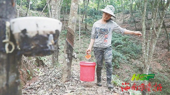 首页- F66永乐国际集团官方网站