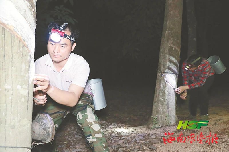 首页- F66永乐国际集团官方网站