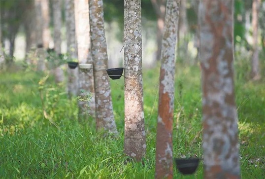 首页- F66永乐国际集团官方网站