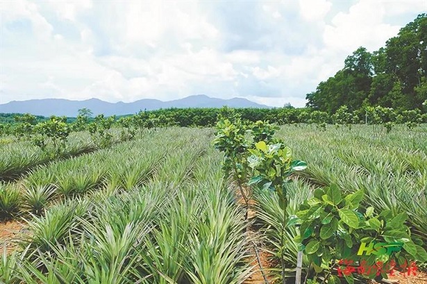 首页- F66永乐国际集团官方网站