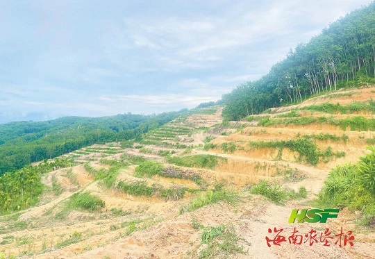 首页- F66永乐国际集团官方网站