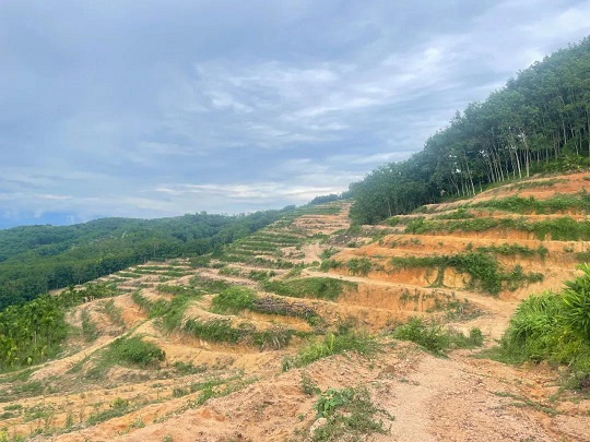 首页- F66永乐国际集团官方网站