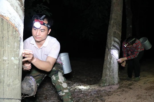 首页- F66永乐国际集团官方网站