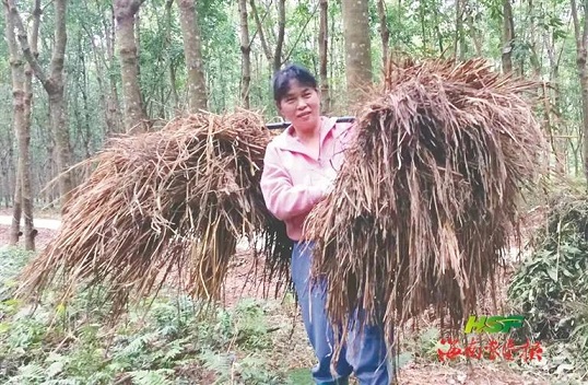 首页- F66永乐国际集团官方网站