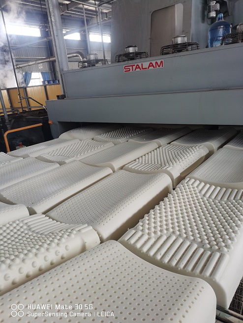 首页- F66永乐国际集团官方网站