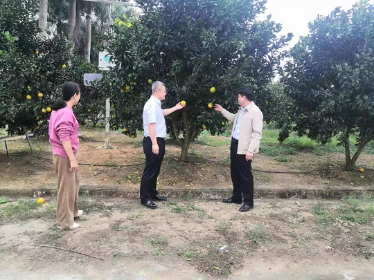 首页- F66永乐国际集团官方网站