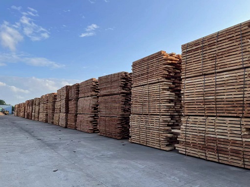 首页- F66永乐国际集团官方网站