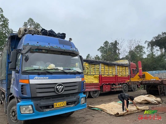 首页- F66永乐国际集团官方网站