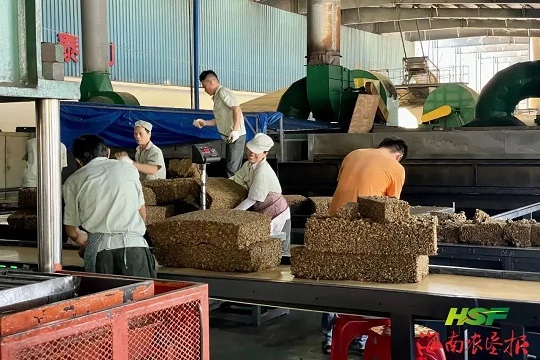 首页- F66永乐国际集团官方网站