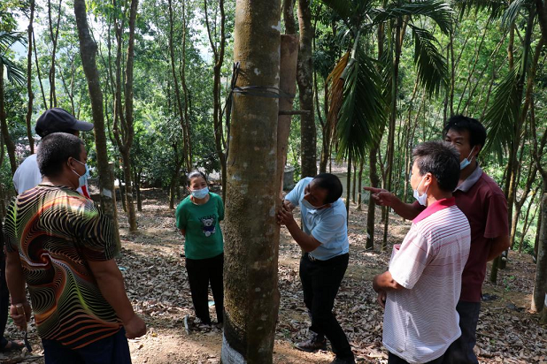 首页- F66永乐国际集团官方网站