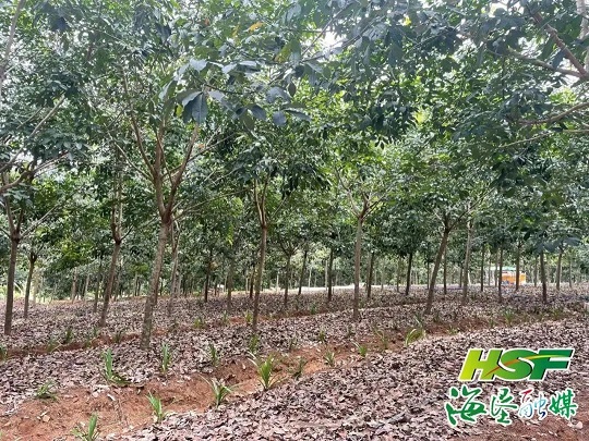首页- F66永乐国际集团官方网站