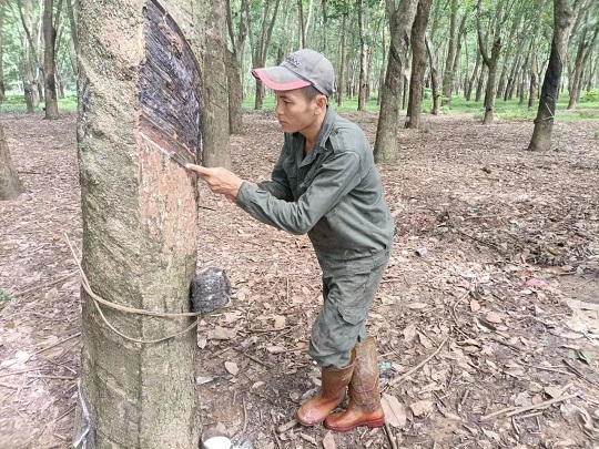 首页- F66永乐国际集团官方网站