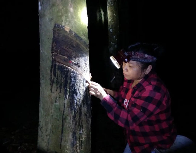 首页- F66永乐国际集团官方网站