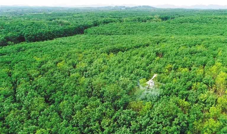 首页- F66永乐国际集团官方网站