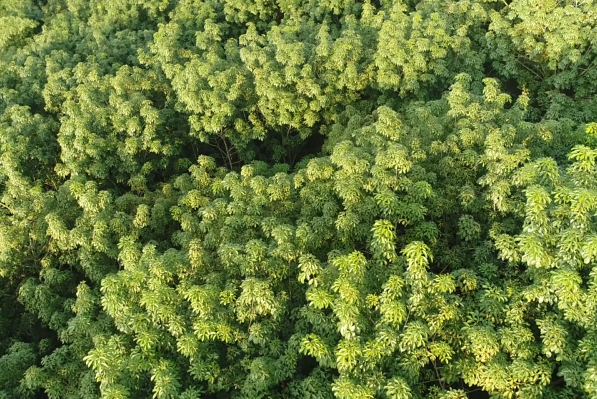 首页- F66永乐国际集团官方网站