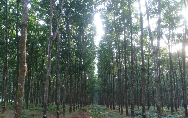 首页- F66永乐国际集团官方网站