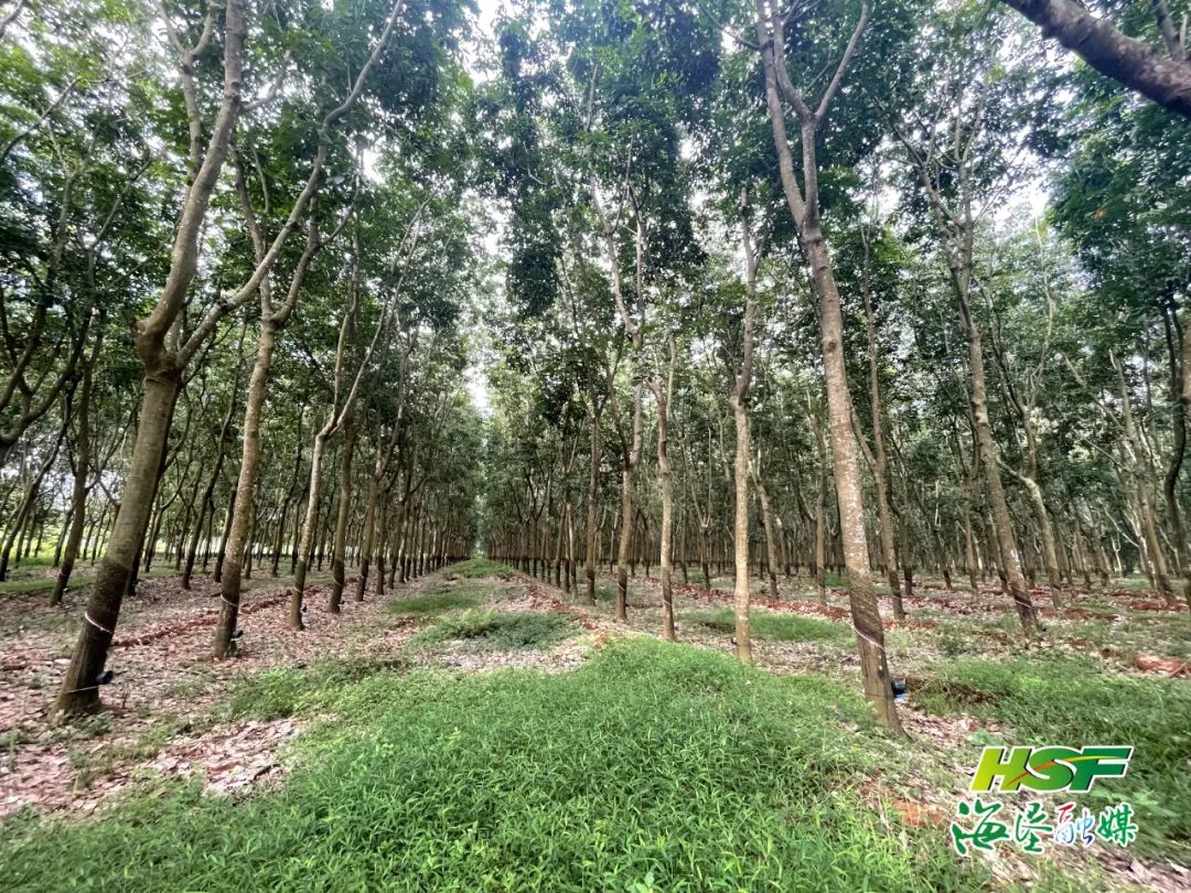 首页- F66永乐国际集团官方网站