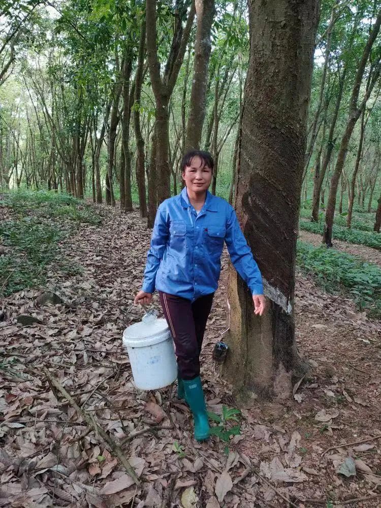 首页- F66永乐国际集团官方网站