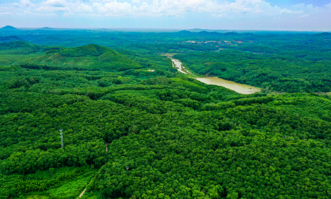首页- F66永乐国际集团官方网站