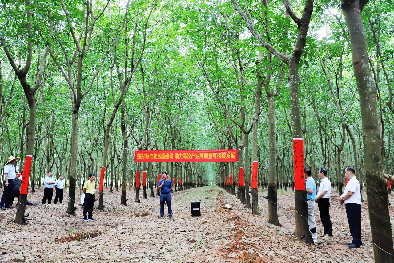 首页- F66永乐国际集团官方网站