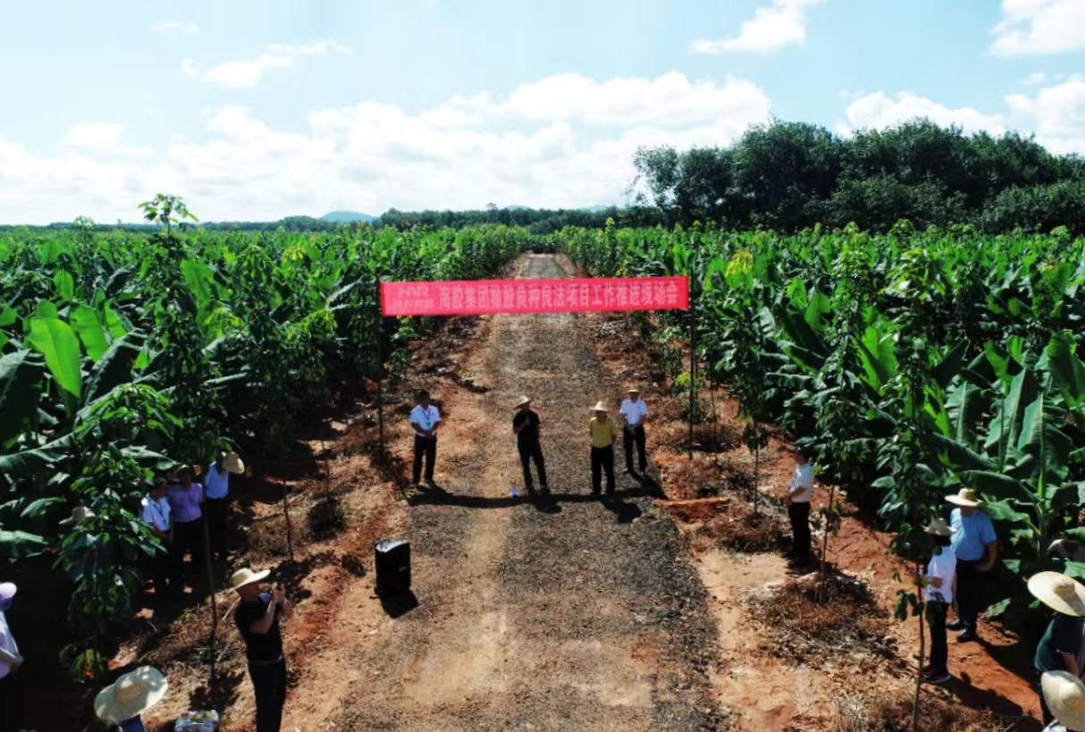 首页- F66永乐国际集团官方网站