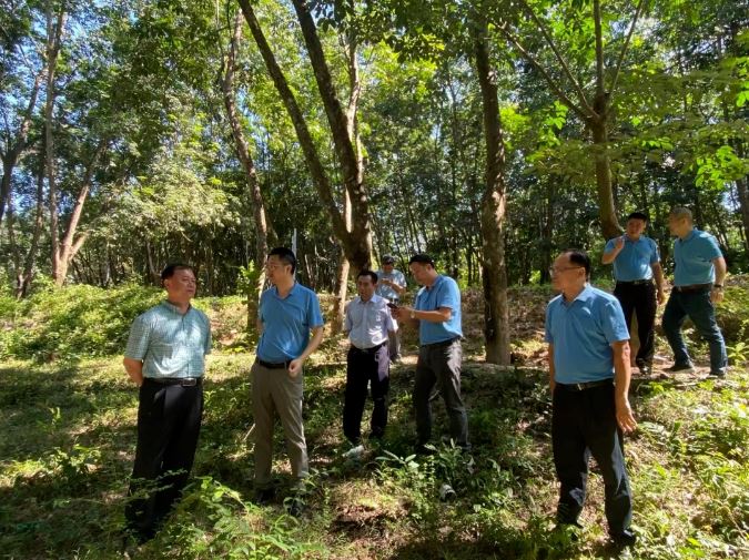 首页- F66永乐国际集团官方网站